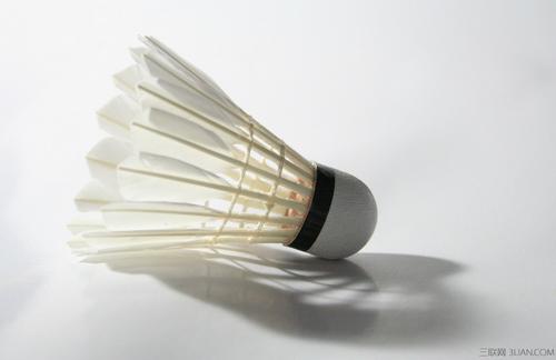 从而在未来 从而在未来